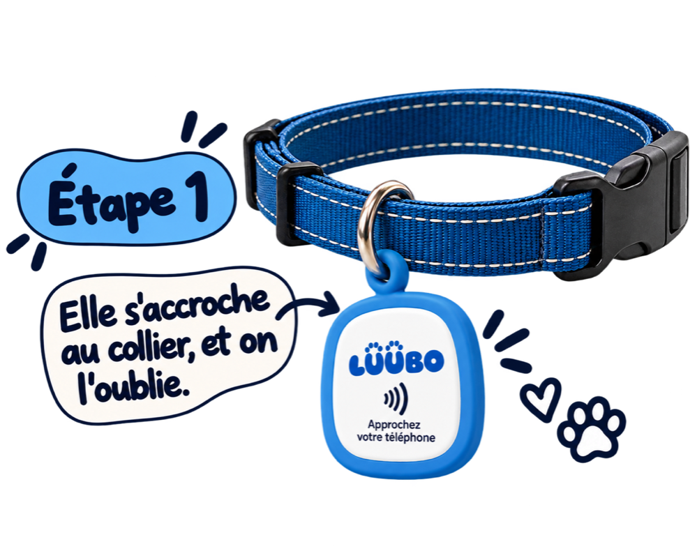 La médaille SerenTag accrochée au collier